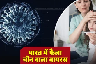 How dangerous is HMPV for India? Know every little and big information about the virus from experts